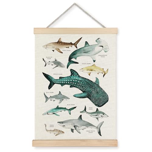 Supwhd Shark Wall Decor, Shark Posters with Wooden Frames, Ocean Animal Poster Hanger Frame, Sharks Nautical Wall Hanging Banner Decor for Nursery Classroom Coastal House Beachy Room, 12x16