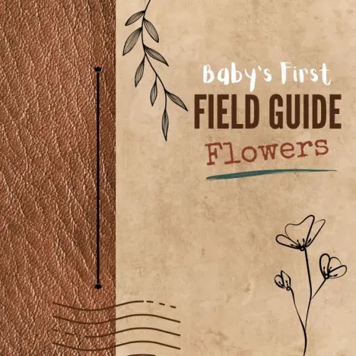 Baby's First Field Guide: Flowers