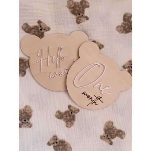 Teddy Bear Milestone Discs | Hello World - 12 Months