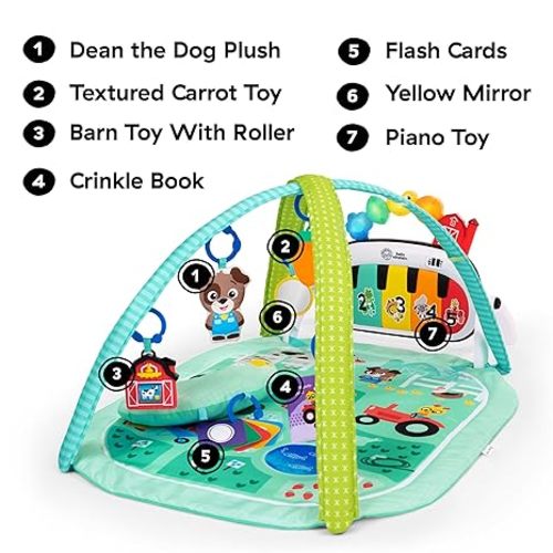 Baby Einstein Farm Explorers 4-in-1 Kickin’ Tunes Musical Meadow Music & Language Discovery Gym, Ages 0 Months and Up