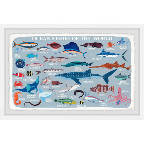 Sunside Sails Aliza Ocean Fishes of the World Framed Print | Wayfair
