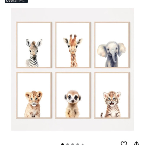 Safari Art Decor with frames  $25