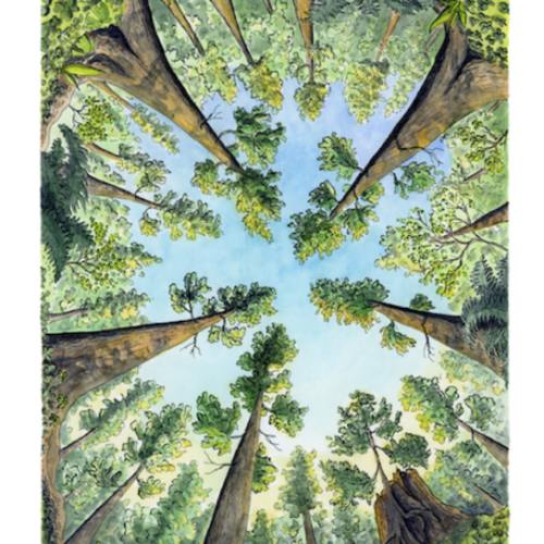 “Surrounded by Giants” Print : Noah Johnson Art