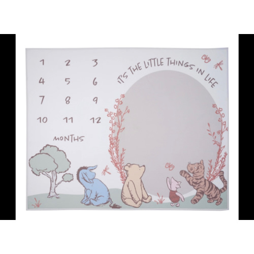Pooh Bear & Pals Milestone Baby Blanket