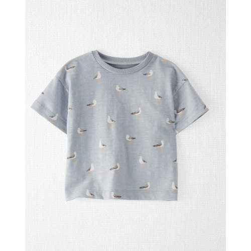 Baby Organic Cotton Graphic Tee - Style,Seagull Print