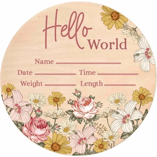 Hello World Newborn Sign - Baby Name Birth Announcement Plaque for Hospital - Daisy Pink Floral - Photo Prop - Nursery Decor - Shower Gift