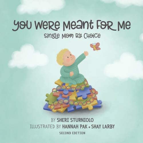 You Were Meant For Me: Single Mom By Choice : Sturniolo, Sheri, Pak, Hannah, Larby, Shay: Amazon.com.au: Books