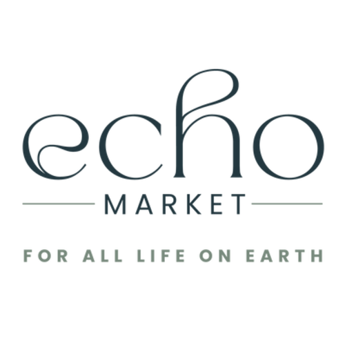 Organic Bamboo Baby's Feeding Spoons – Echo Market