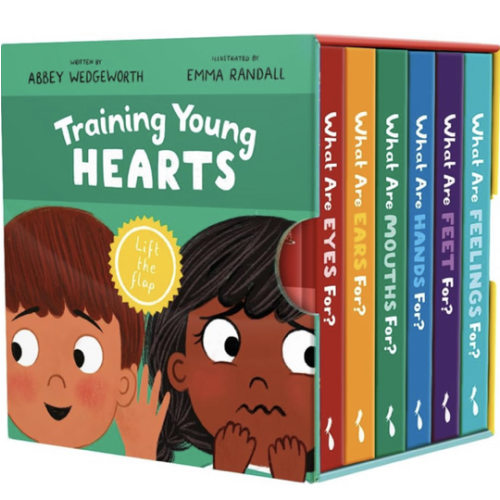 Training Young Hearts Board Books Boxed Set: 6 Lift-the-Flap Board Books & Guide for Grown-Ups (Christian Books for Babies, Toddlers, Preschoolers & ... For? Mouths, Feet, Ears, Eyes, Feelings)