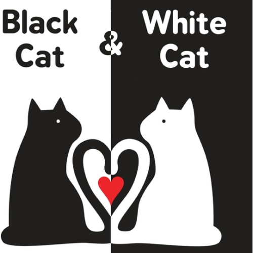 Black Cat & White Cat: Baby's first visual & emotional learning board book