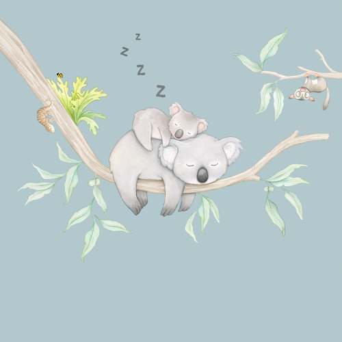 Koala in Gum Tree Wall Decal