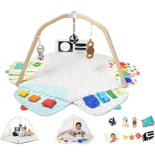 LOVEVERY | The Play Gym | Award Winning For Baby , Stage-Based Developmental Activity Gym & Play Mat for Baby to Toddler