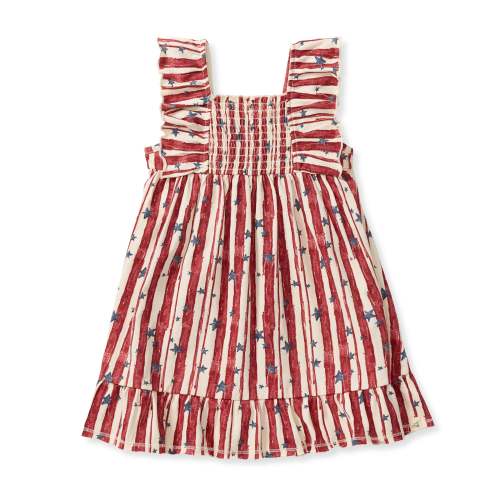 Stars & Stripes Organic Cotton Dress – Burt's Bees Baby
