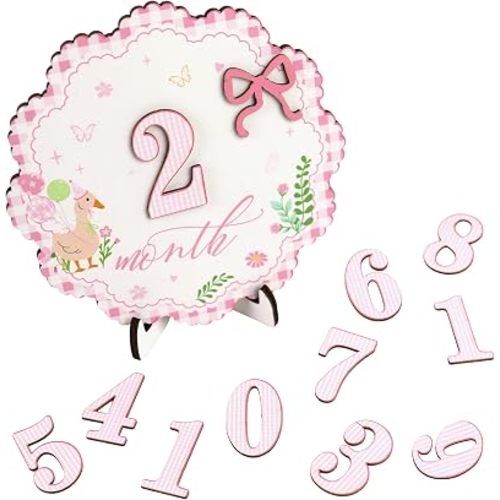 Silly Goose Baby Monthly Milestone Sign, Wooden 1-12 Month Photo Prop