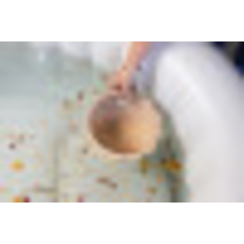 Earthside Placenta Bowl