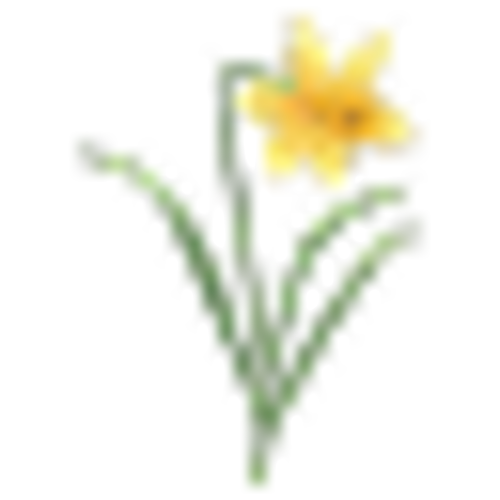 East West Canvas Tote Bag – Garden Study | Rifle Paper Co.