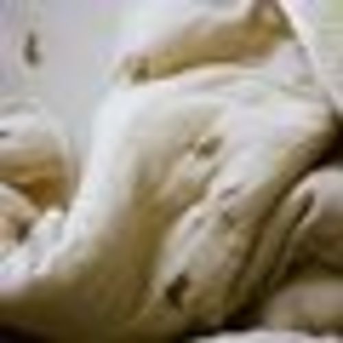 'Bear' - Premium Muslin Crib Quilt & Sham