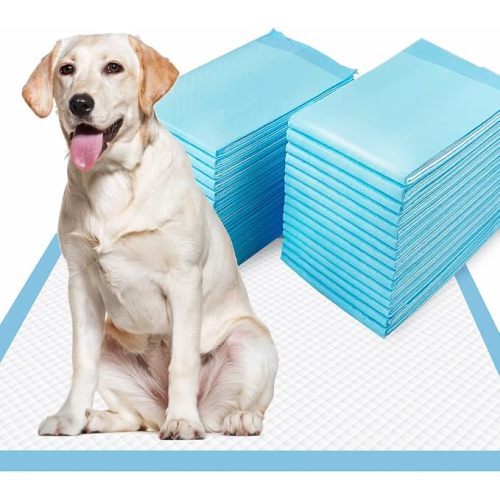 Dogcator XL Puppy Pads 40 Count, Thicken Pee Pads for Dogs, 28"x34" Dog Pee Pads Extra Large, Disposable Urine Bed Pads for Doggy, Potty Pads for Doggie, Large Dog Pads, Piddle Pads X-Large