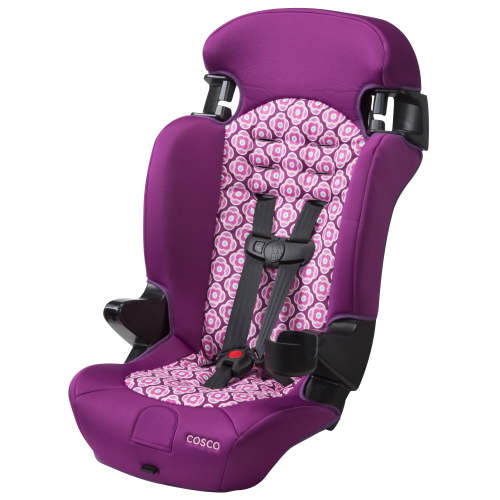 Cosco Kids Finale 2-in-1 Booster Car Seat, Rosette, Toddler, Unisex