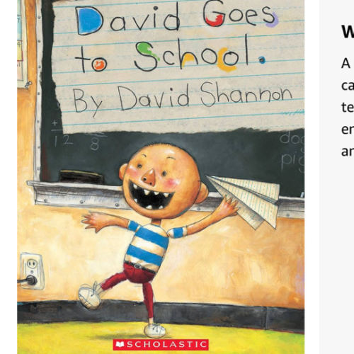David Goes to School (David Books [Shannon])