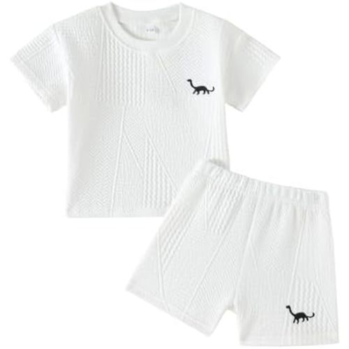 Rosibel Toddler Baby Boys Clothes Set Summer 2 PCS Outfit for 6M-3Y