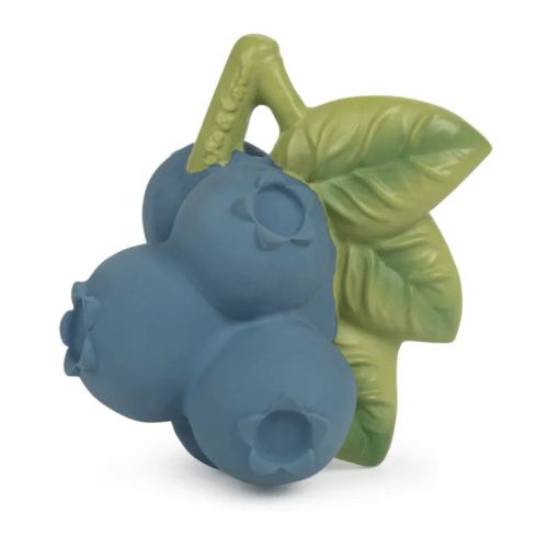 Jerry the Blueberry teething ring