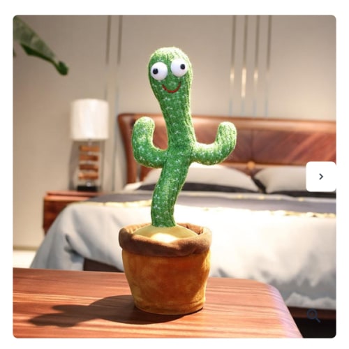 sunnythecactus