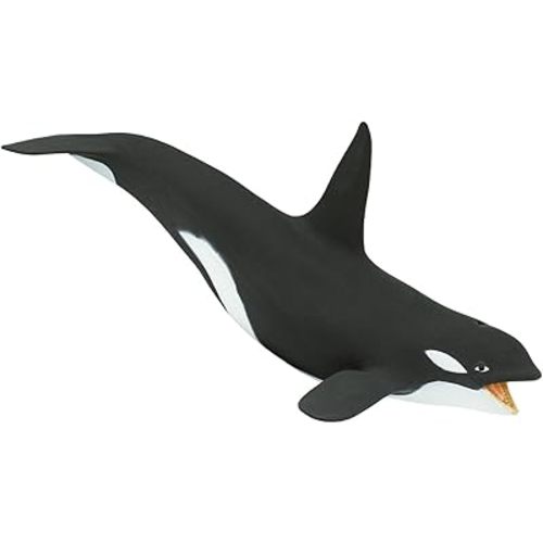 Safari Ltd. Killer Whale (Orca) Figurine - Detailed 7" Plastic Model Figure - Fun Educational Play Toy for Boys, Girls & Kids Ages 3+