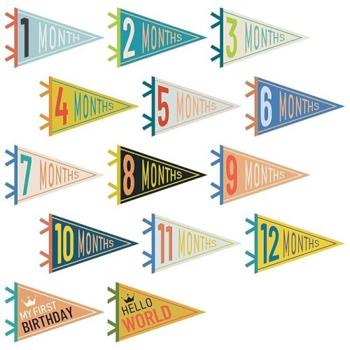 VitalCozy 14 Pcs Baby Milestone Pennant Signs Monthly Milestone Banner Flags Pennant Triangle Banner Age Flag Signs for Boy Girl Newborn Birthday Party Decor(Mixed Colors)