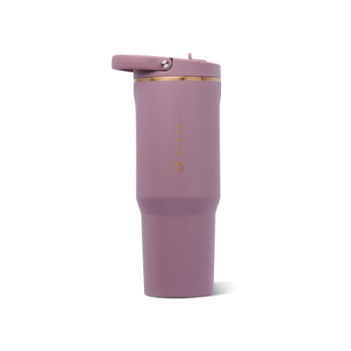 HydroJug | HydroJug Sport 32oz - Rosewood