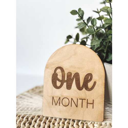 Monthly Baby Milestone Discs | Neutral Baby | Month Baby Signs | Monthly Baby Photos | Wood Baby Sign | Month Milestones | Baby Shower Gift
