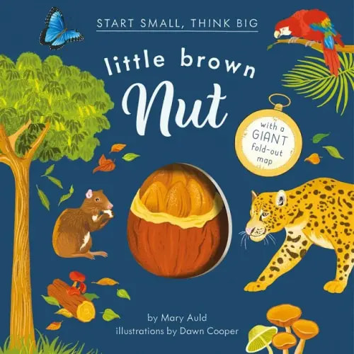 Little Brown Nut a book by Mary Auld and Dawn Cooper - Bookshop.org US