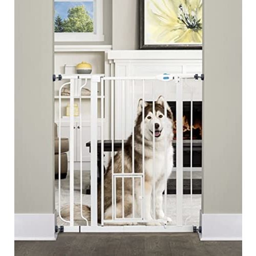 Carlson Extra Tall Walk Through Pet Gate with Small Pet Door, Includes 4-Inch Extension Kit, 4 Pack Pressure Mount Kit and 4 Pack Wall Mount Kit