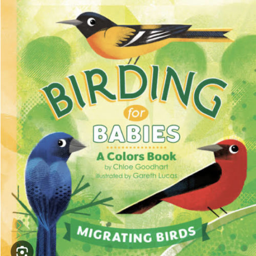 Birding for Babies: Migrating Birds: A Colors Book