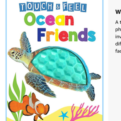 Ocean Friends - Touch and Feel Board Book - Sensory Board Book