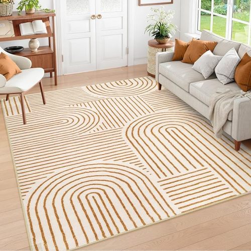 Lahome Abstract Washable Area Rug 6x9, Soft 6x9 Rug for Living Room Bedroom