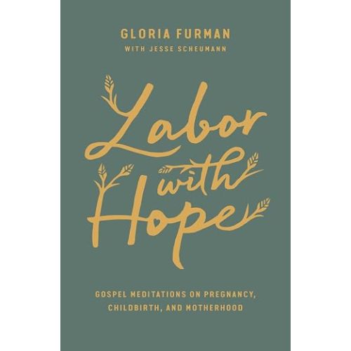 Labor with Hope: Gospel Meditations on Pregnancy, Childbirth, and Motherhood