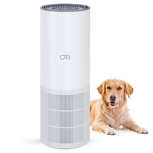 ORB 2-in-1 Air Purifier & Humidifier Combo for Bedroom – True HEPA Filter, Quiet, Auto Mode, No Mist, Removes Dust Smoke Odors Pet Dander, Top Fill, Covers 500 Sq Ft