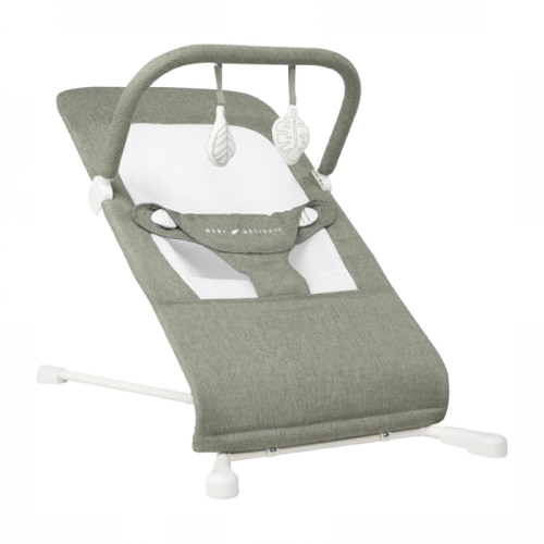 Baby Delight Highland Bouncer, Sage Tweed