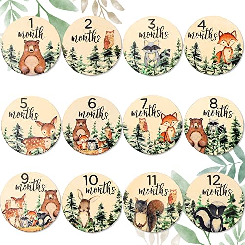 Whaline 12Pcs Woodland Baby Monthly Milestone Cards Milestone Wooden Discs Double-Sided Cute Animal Baby's First Year Age Announcement Sign for Newborn Baby Photo Props Gift