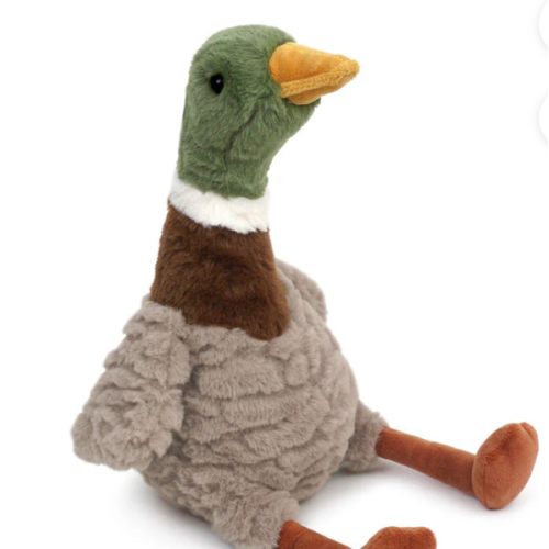 River Mallard Duck