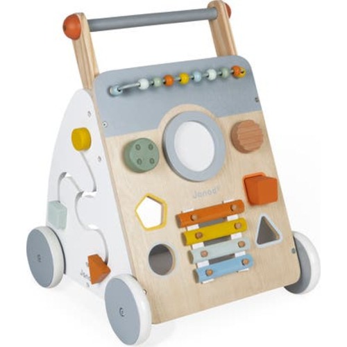Sweet Cocoon Multi-Activity Walker