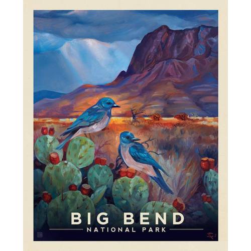 DEAL National Parks Big Bend Poster Panel PD15097 - Riley Blake Designs - DIGITALLY PRINTED Texas - Quilting Cotton Fabric