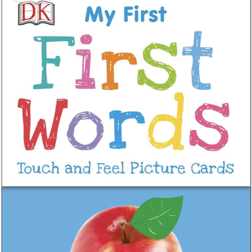 My First Touch and Feel Language Picture Cards: First Words (My First Board Books)
