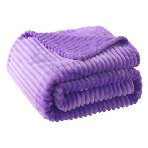 Fleece 30"x40" Toddler Blanket, Spring Lightweight Soft Flannel Plush Blanket for Travel, Crib & Daycare - NTBAY