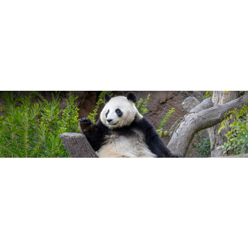 Tickets | San Diego Zoo