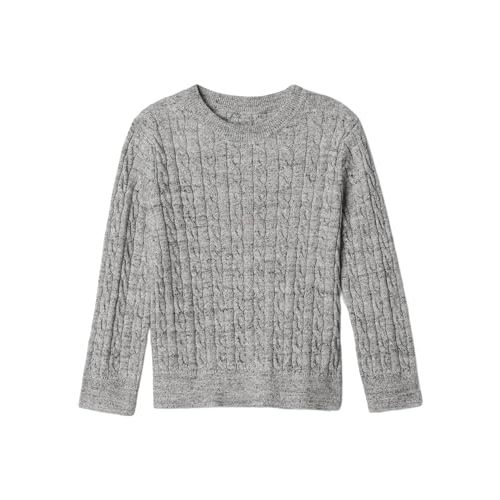 GAP Baby Boys' Cable Crewneck Sweater