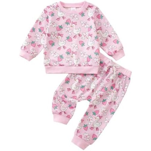 Baby Girl Fall Winter Outfits Toddler Clothes Long Sleeve Floral Graphic Crewneck Sweatshirt + Joggers Pants Set