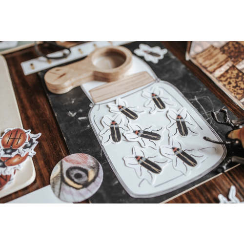 Entomology Morning Basket