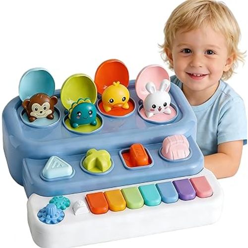 Interactive Pop Up Music Piano Toy with Music & Lights, Montessori Animal Cause and Effect Toys, STEM Learning Educational Baby Toy for Toddlers 1-3 Years Old, Gift for Infants 6-12 Months